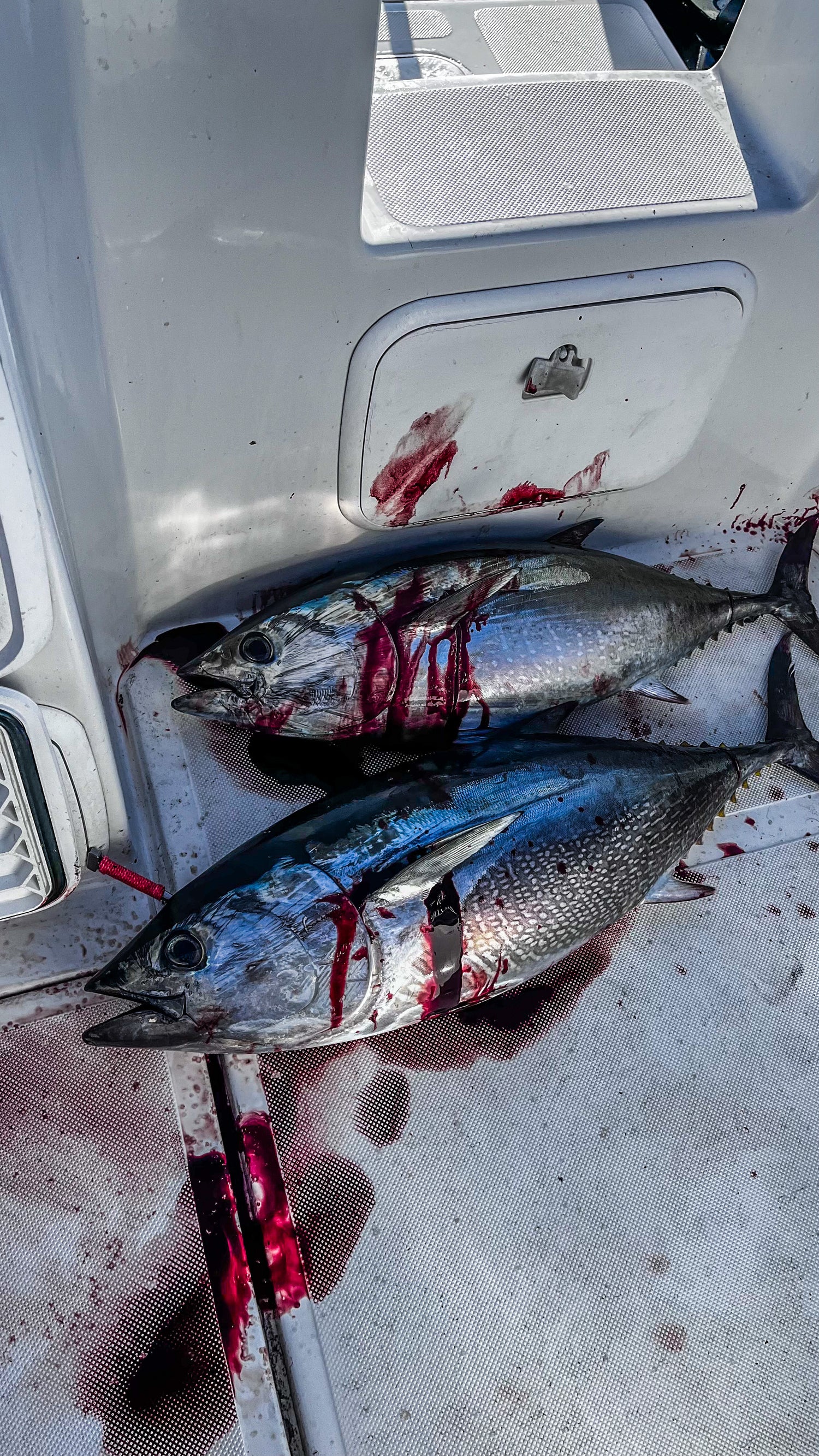 Fishing Ink Jigs